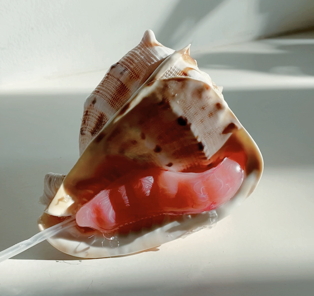 Artwork 3
