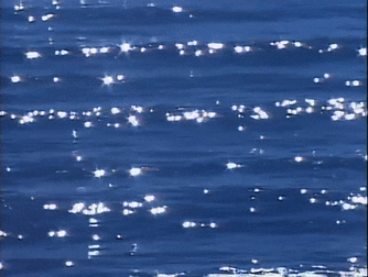 Shell divider
